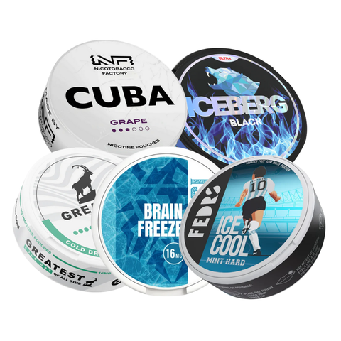 Premium Nikotinbeutel: Was macht sie besonders?