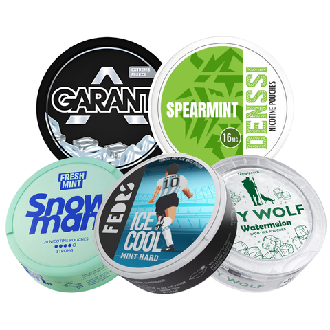 Rauchfreie alternativen: was sie über nikotinbeutel wissen sollten